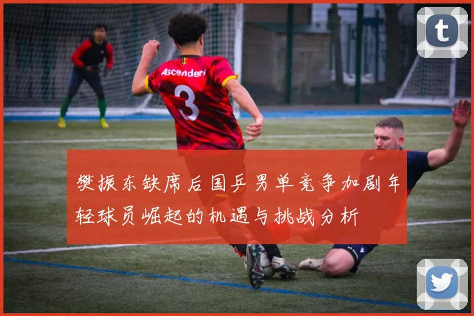 樊振东缺席后国乒男单竞争加剧年轻球员崛起的机遇与挑战分析